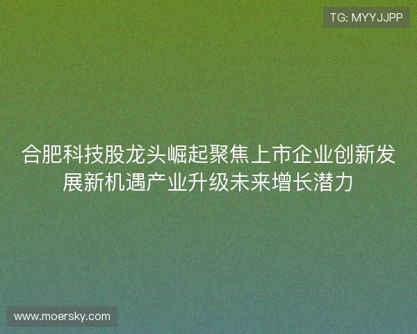 合肥科技股龙头崛起聚焦上市企业创新发展新机遇产业升级未来增长潜力